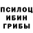 Галлюциногенные грибы прущие грибы _sunt_perets_