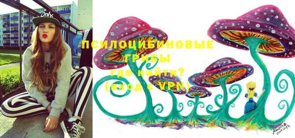 хмурый Алексеевка