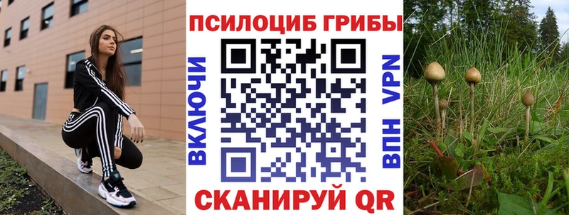 Галлюциногенные грибы Magic Shrooms  Тверь 